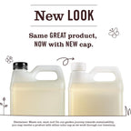 Mrs. Meyer's Clean Day Hand Soap Refill - Rain Water Scent, 33 oz